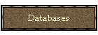 Databases